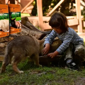 Adur-y-Sigurd-1-700x700