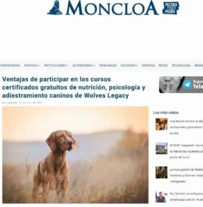 Captura de pantalla 2021-08-18 105717