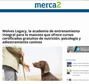 Captura de pantalla 2021-08-18 105824