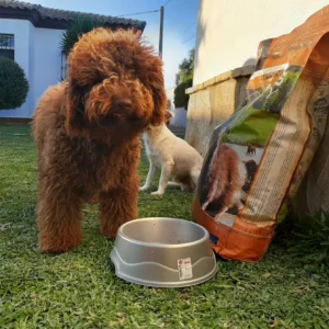 IMG-20200608-WA0033-1536x1344