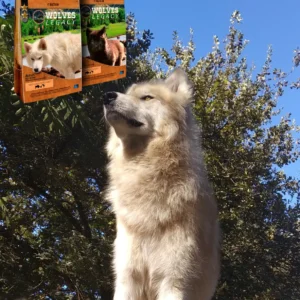 IMG_20200510_152902-1217x1536