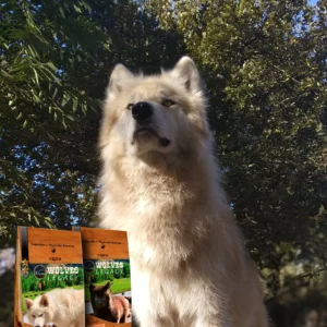 IMG_20200510_152926-1657x2048