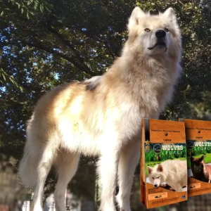 IMG_20200510_153012-2048x1850