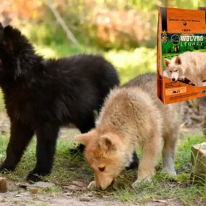 Ohanzee-y-Sigurd-1024x717