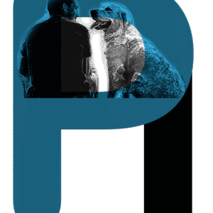 Programa Alfa