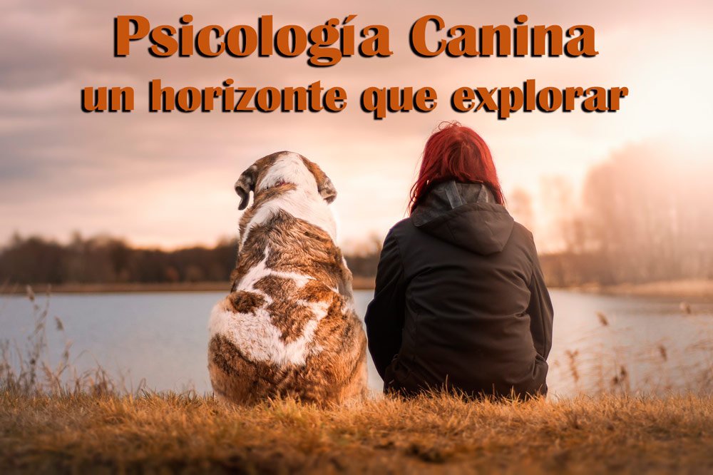 Diplomado Internacional de Psicología Canina Instintiva