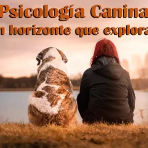 Diplomado Internacional de Psicología Canina Instintivista