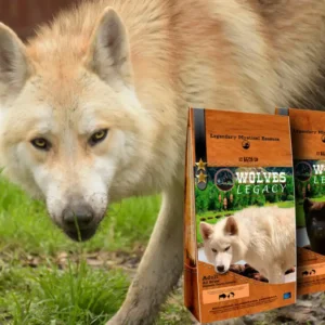 sigurd-1-1024x730 (1)