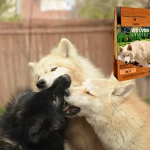 varios-lobos-1-1024x683