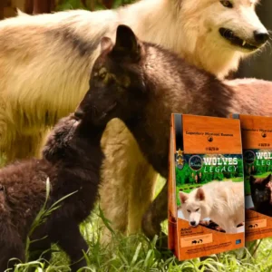 varios-lobos-10-1024x757