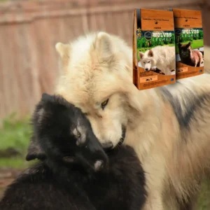 varios-lobos-4-1024x1010