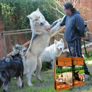 varios-lobos-7-1021x1024